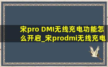 宋pro DMI无线充电功能怎么开启_宋prodmi无线充电功能在哪